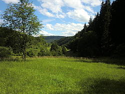 Holiday home Das Schwarzwald Ferienhaus Portal, Germany, Baden-Wurttemberg, Black Forest North, Alpirsbach