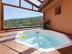 Holiday home Finca Rural Teneriffa-Nord 11947, Spain, Tenerife, Tenerife - North, Los Realejos