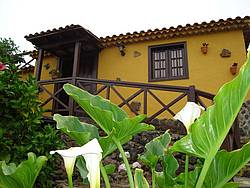 Holiday home Casa Rural Teneriffa-Nord 12048, Spain, Tenerife, Tenerife - North, Icod de los Vinos