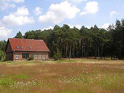Holiday home Waldhof, Germany, Mecklenburg-Western Pommerania, Western Mecklenburg, Hohenwoos