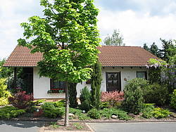 Holiday home ****Ferienhaus &quot;Oase&quot;****, Germany, Hesse, Hessian Mountain region, Bad Zwesten
