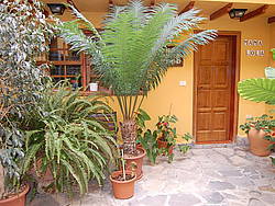 Holiday home Casa Rural Teneriffa-Süd 11613, Spain, Tenerife, Tenerife - South, Arico