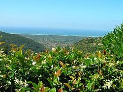 Holiday home Il Piccolo Nido, Italy, Tuscany, Versilia, Montignoso